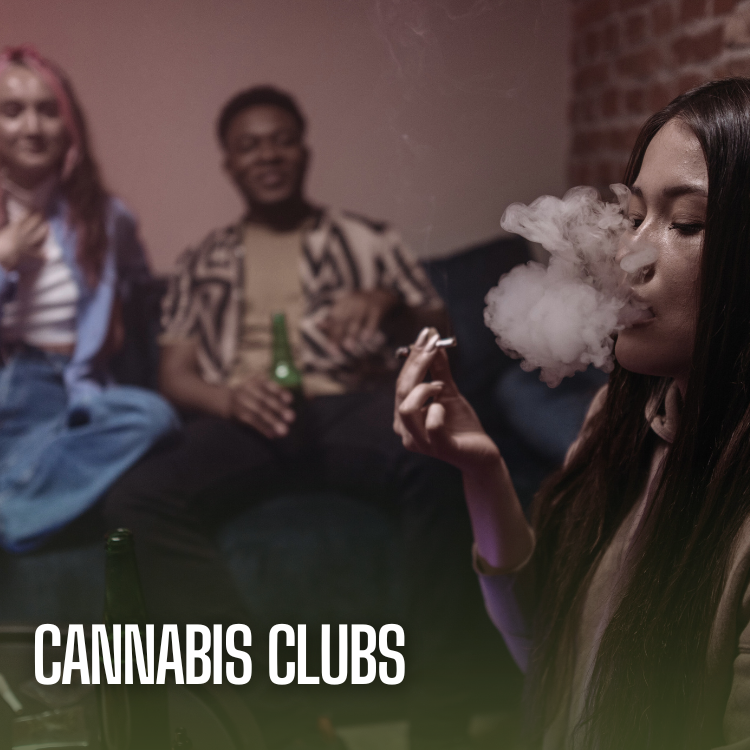 Bud Club Members Nights 🍃