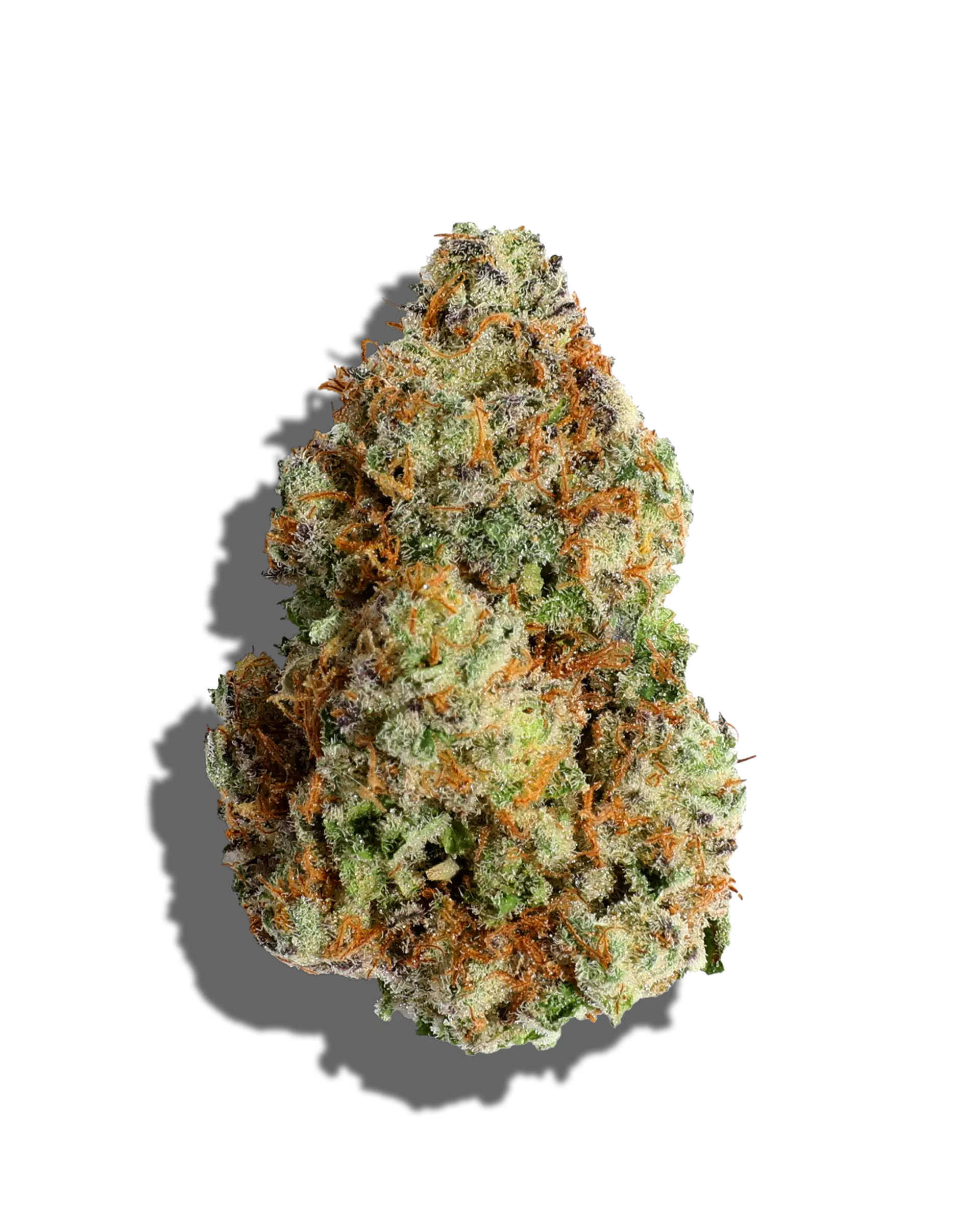 Blockberry Hybrid Sativa Cannabis Flower