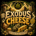 Exodus Cheese (GH)