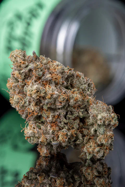 Monster Zkittles Indica Hybrid Cannabis Flower