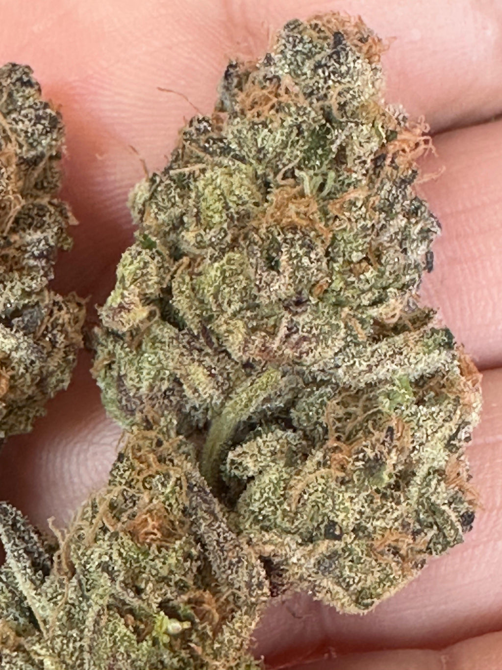 Blue Zushi Indica Hybrid Cannabis Flower