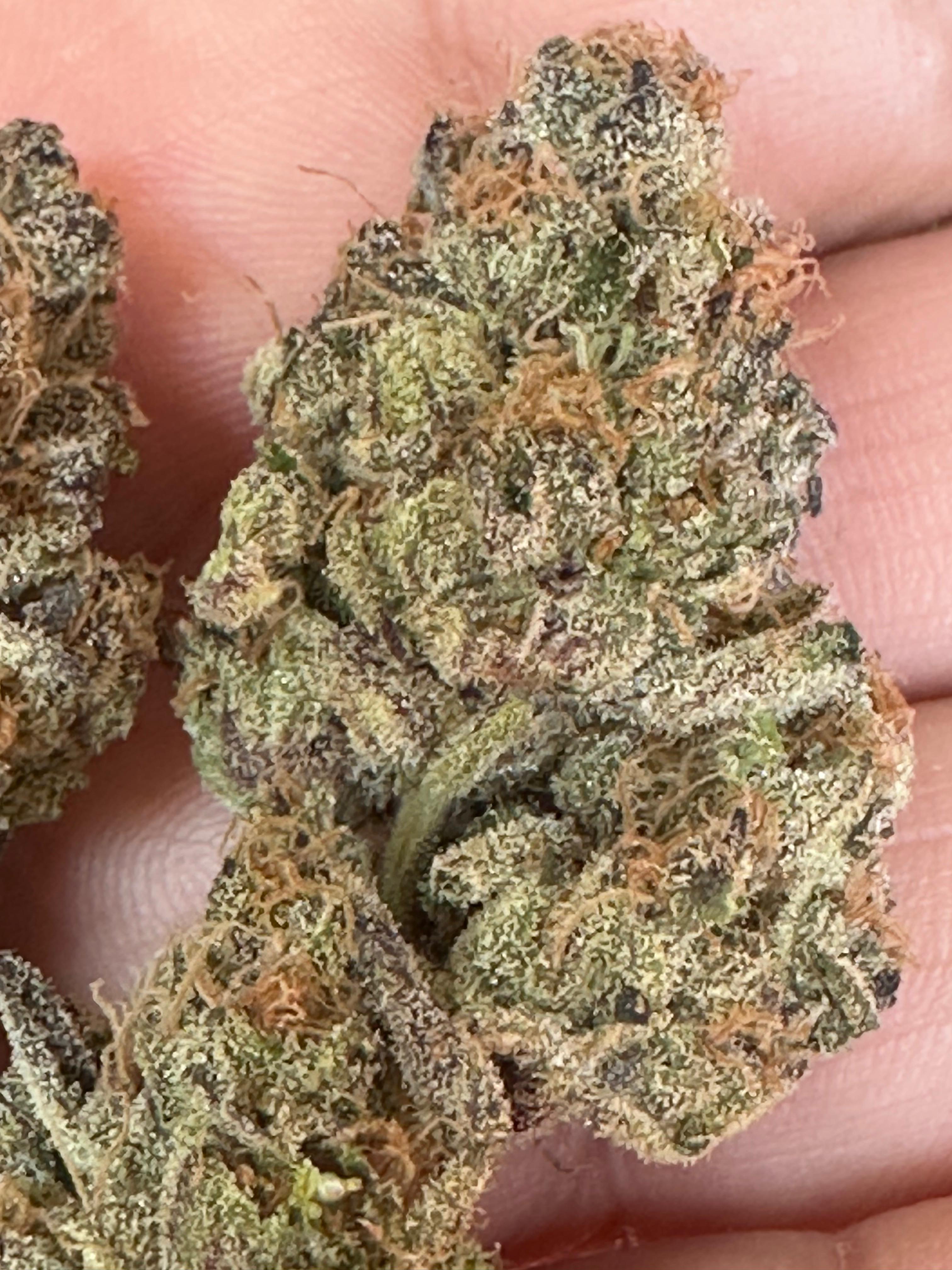 Blue Zushi Indica Hybrid Cannabis Flower