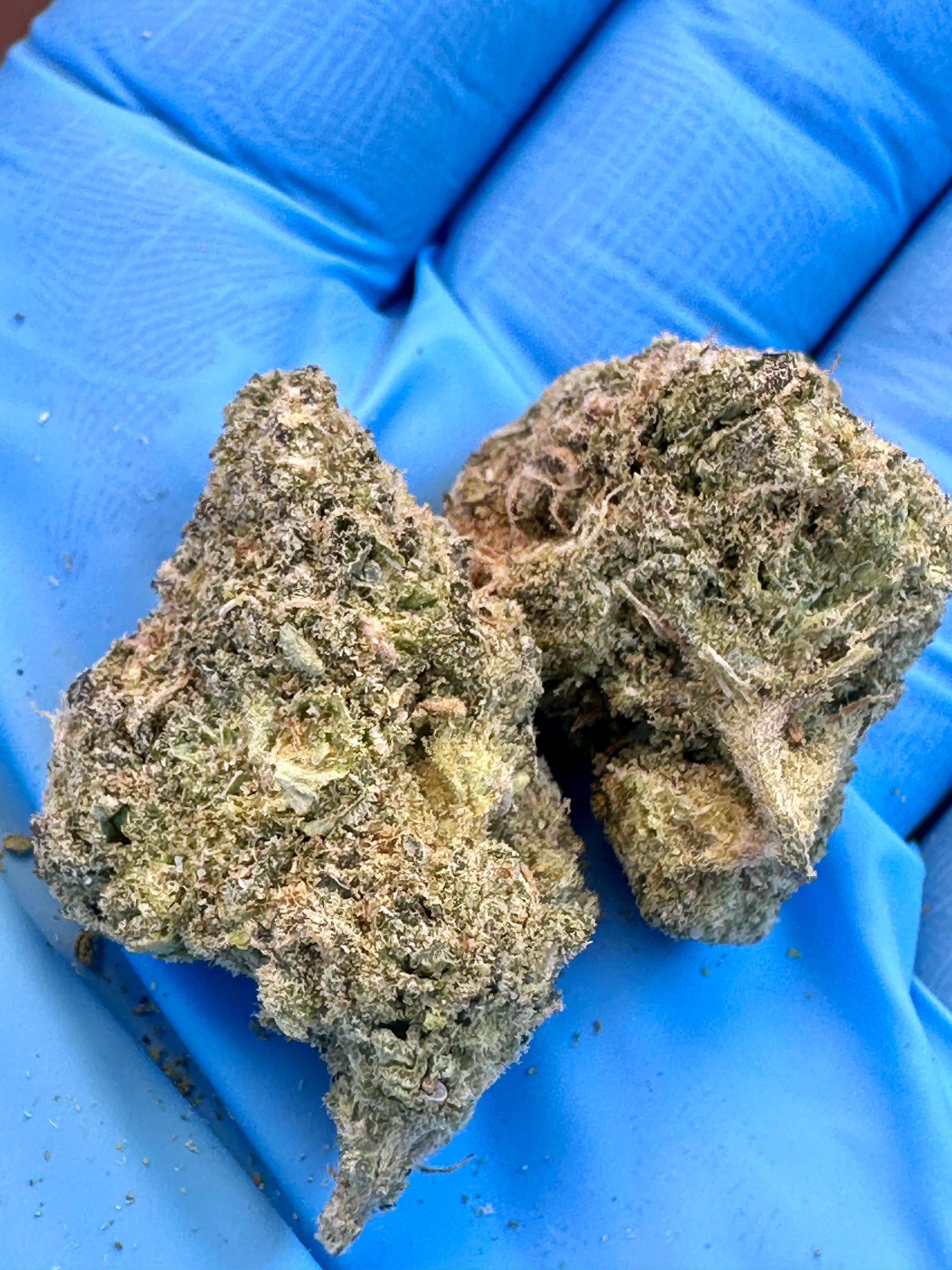 Sundae Driver Indica Hybrid Cannabis Flower